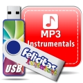 Bild 1 von Felicitas Kunterbunt - Lieder auf USB-Stick  / (Version) Instrumental ohne Gesang